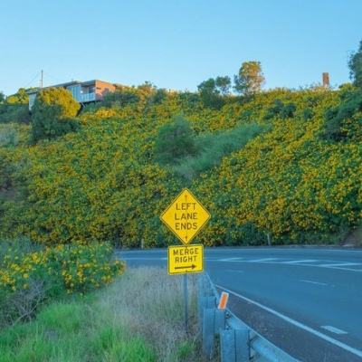 星空体育2024下载手机app下载