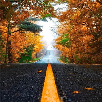 BOB体育登录入口APP下载ios