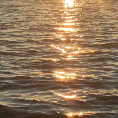 美高梅网址下载手机版